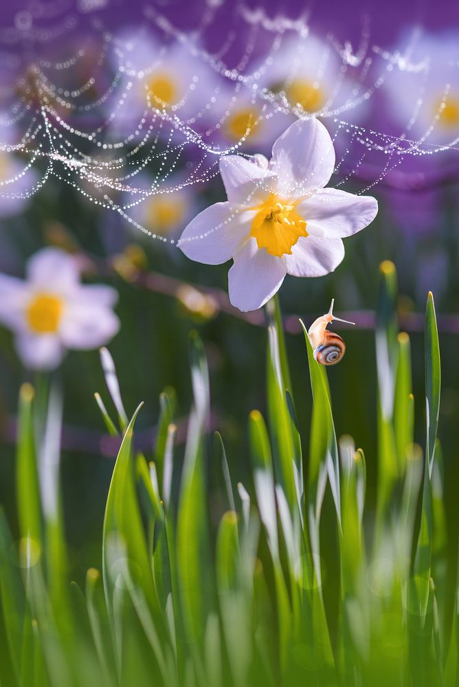 Спасибо Тебе, планета Земля!
