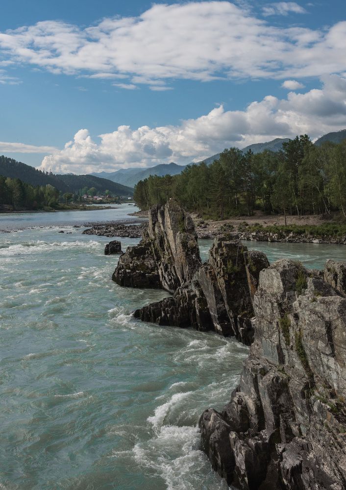 Зубы дракона