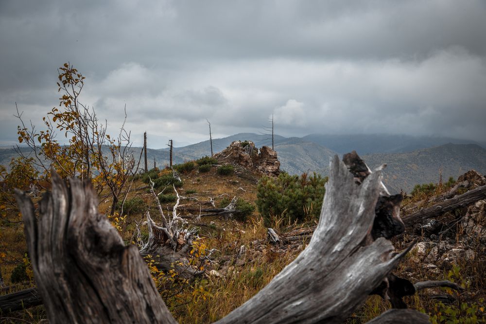 Photograph by Игорь Паутов