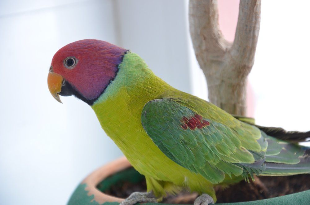 Photograph by Савейко Александр