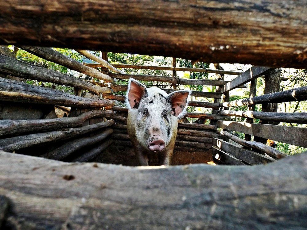 foto porcaria.