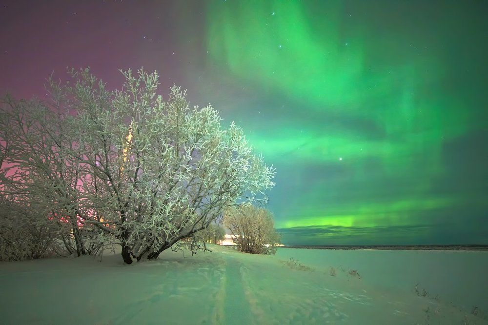 Ночное небо севера.