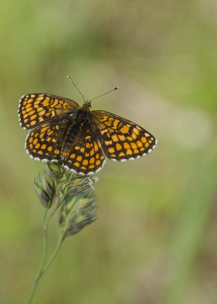 Photograph by Аксана Чалова