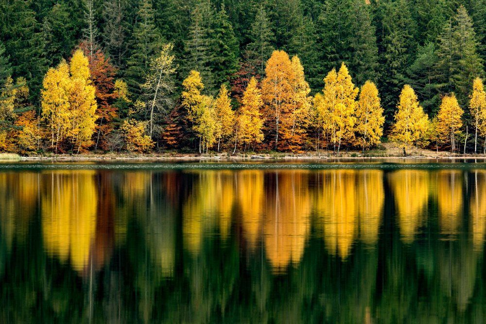 Reflections on Saint Ana Lake