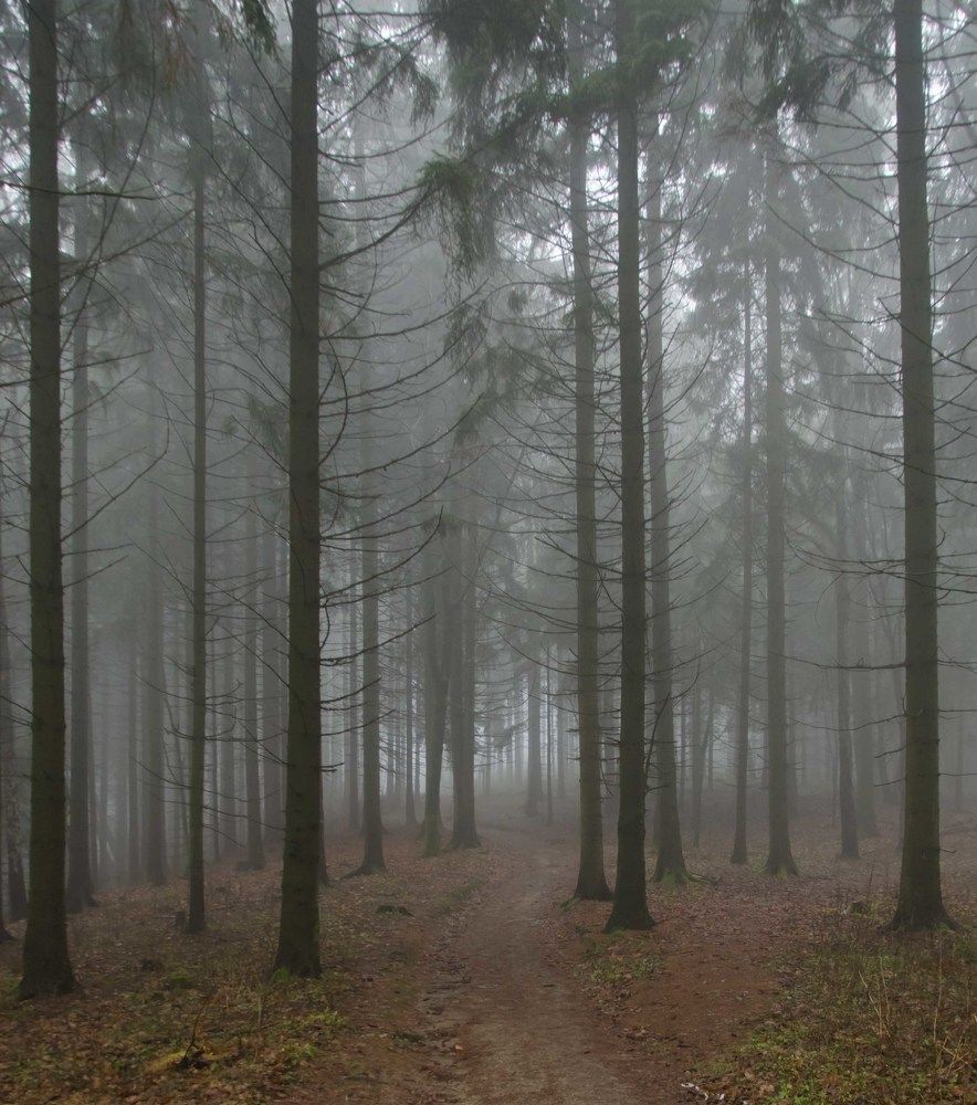 Сказки Марьиных Лазней