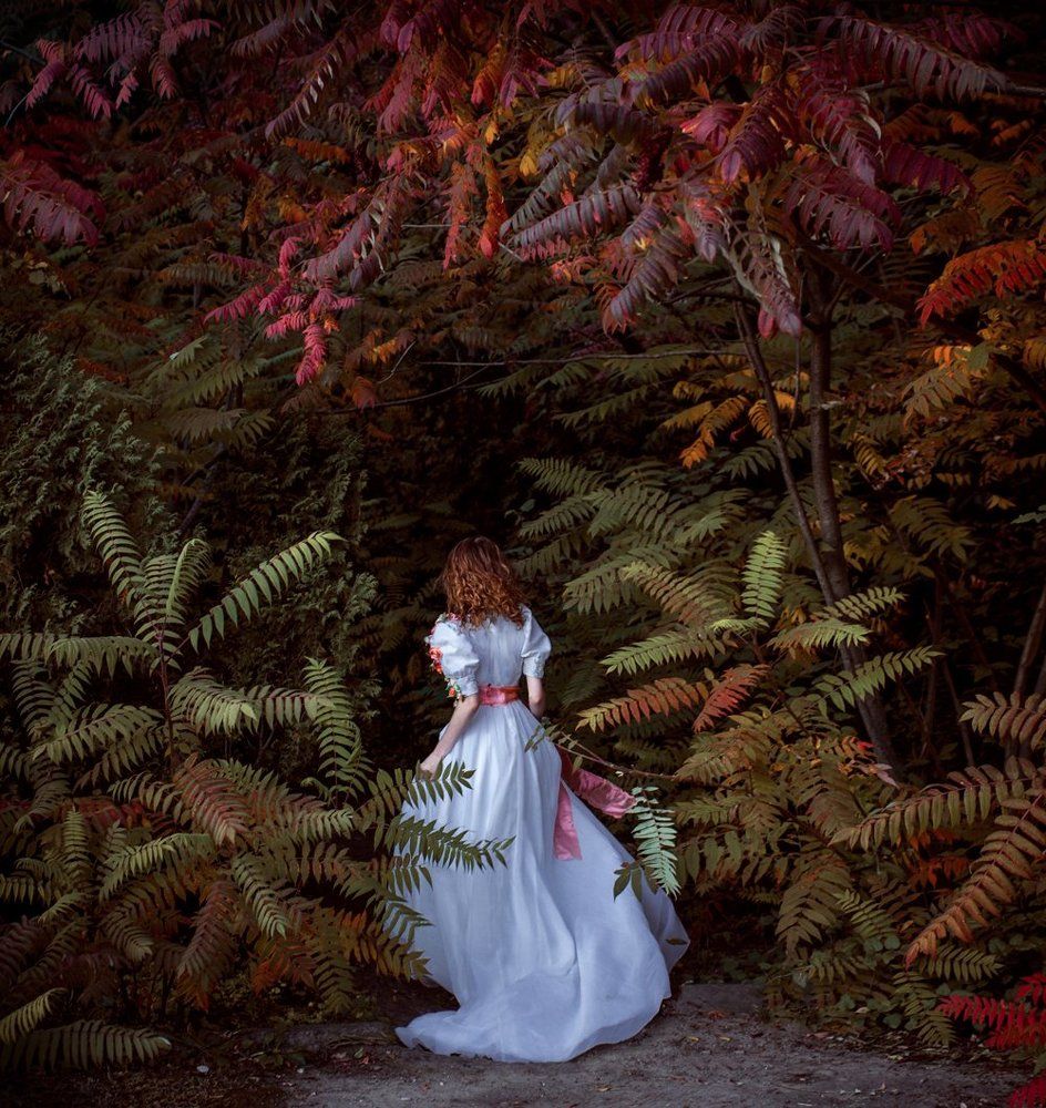 Return to Wonderland