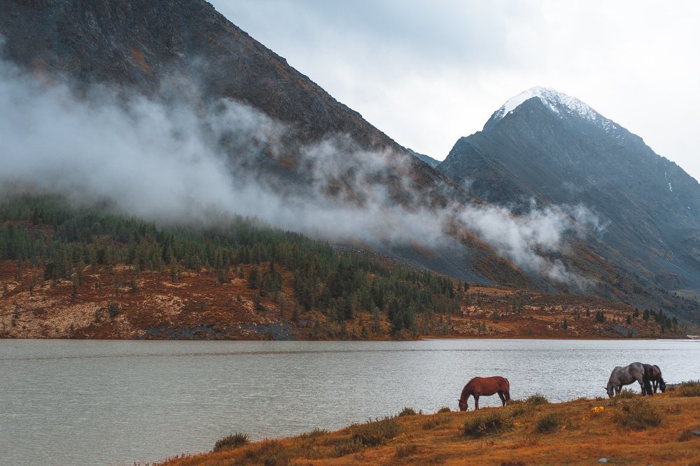 Туманное утро на Аккеме