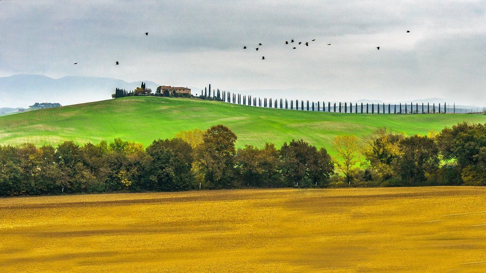 ОСЕНЬ. Из серии "Toscana - amore mio"