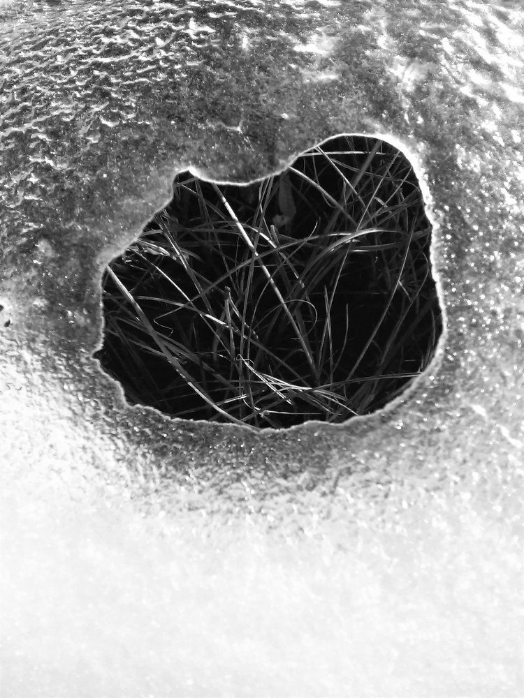 Окно в весну!