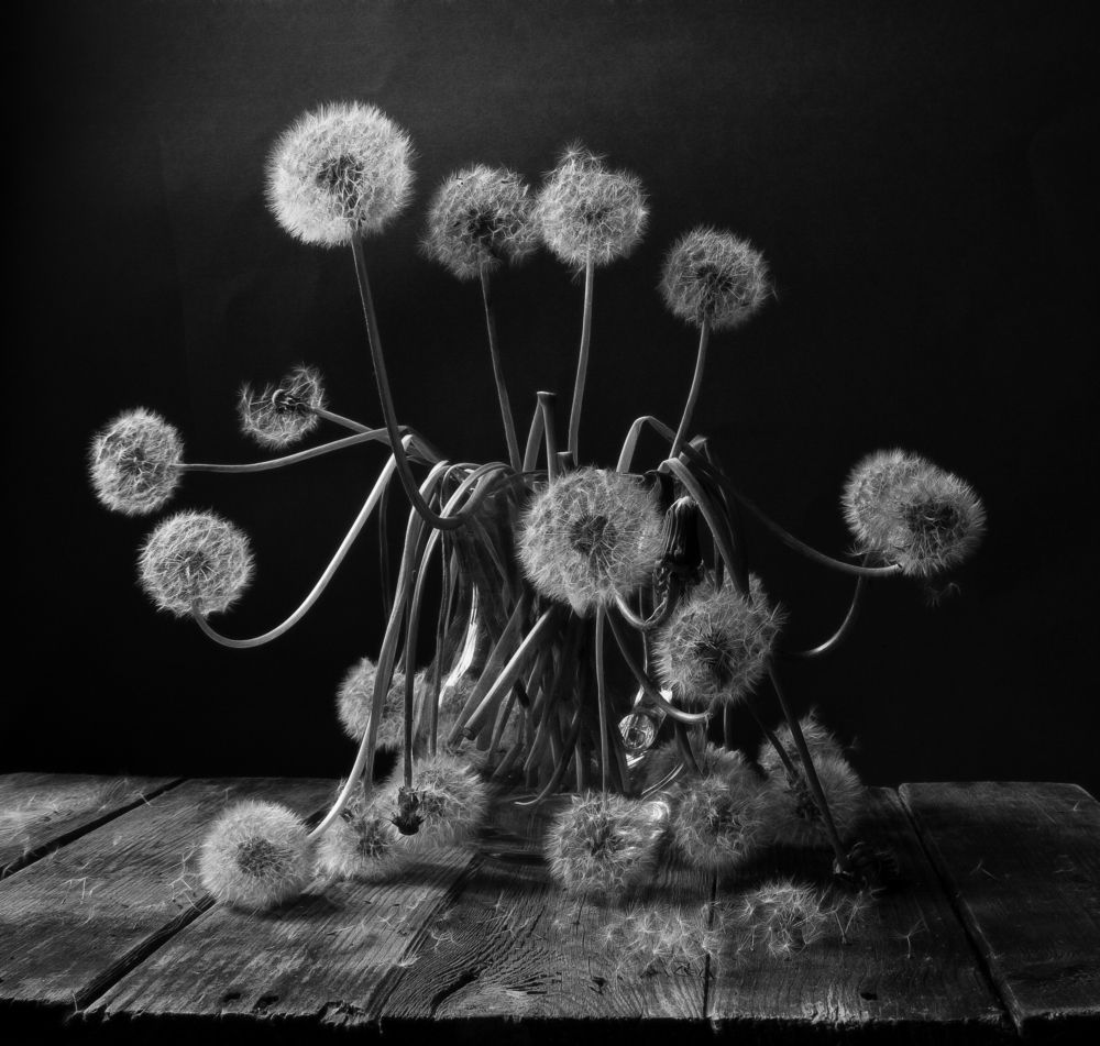 Разлетаются