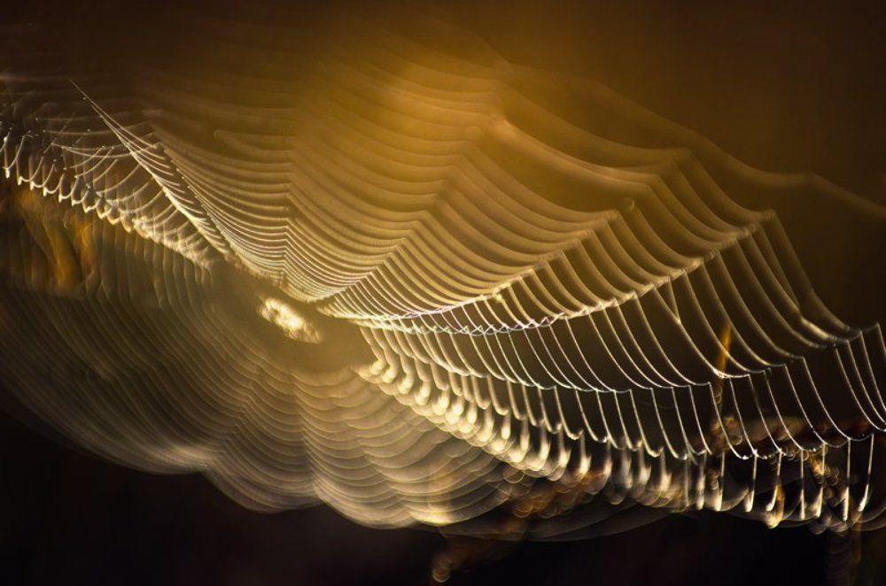 Сплёл и домик и сачок...