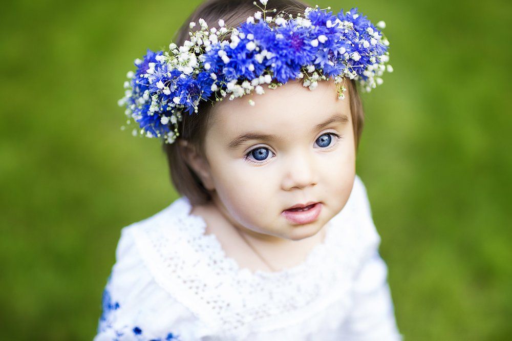 Синеглазка