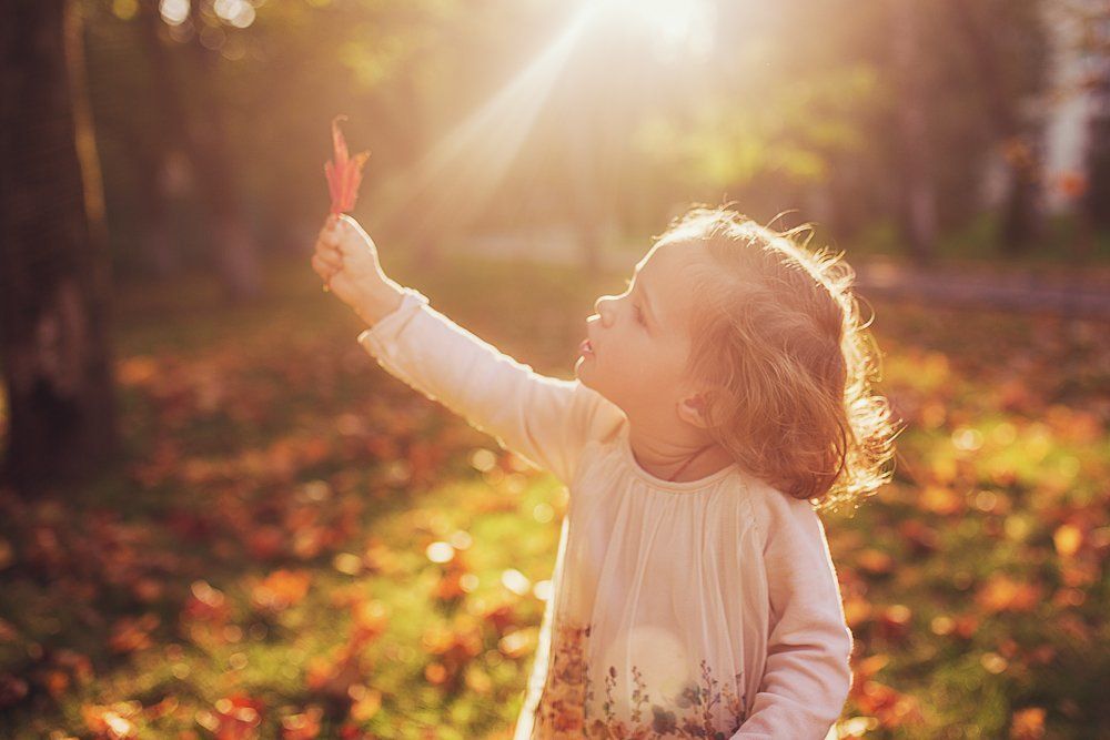 Волшебный листок