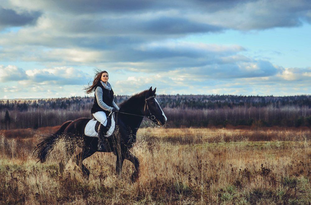 Прогулка с лошадью