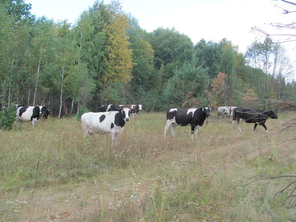 На прогулке