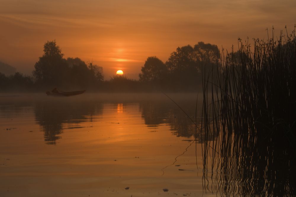 Утренний рай