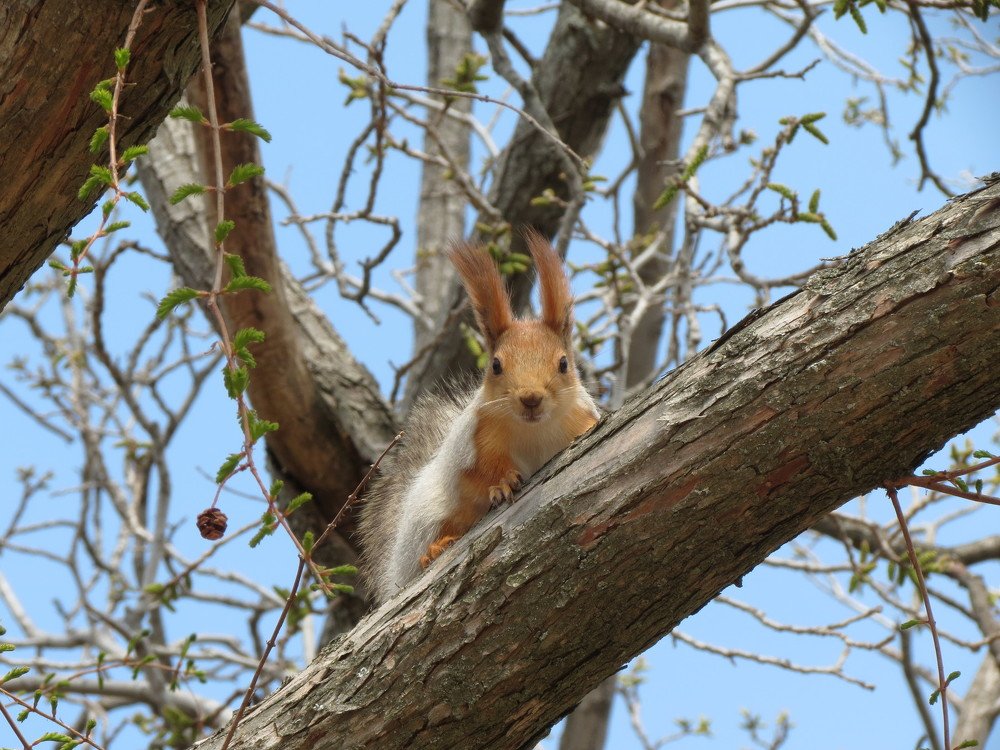 Photograph by Сергей