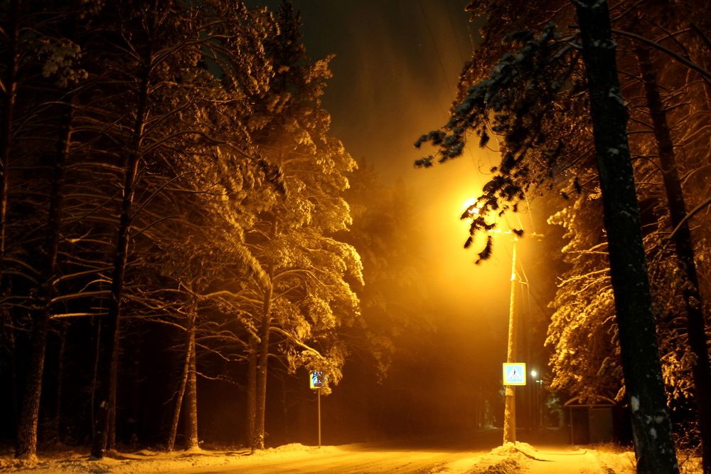 Зимний вечер