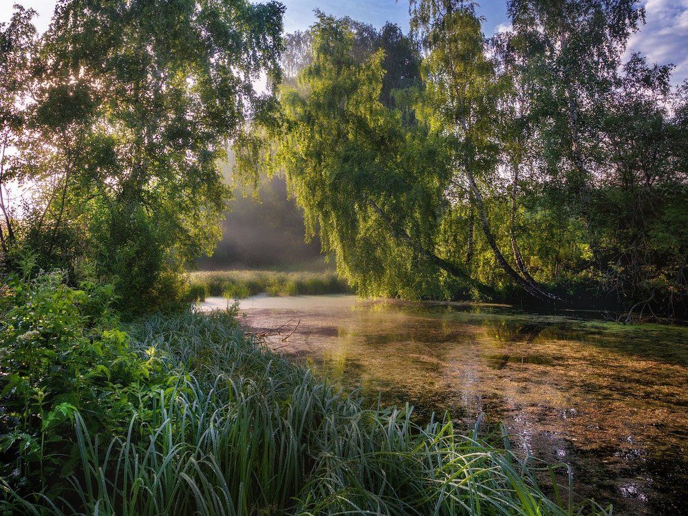 На Якшинке.