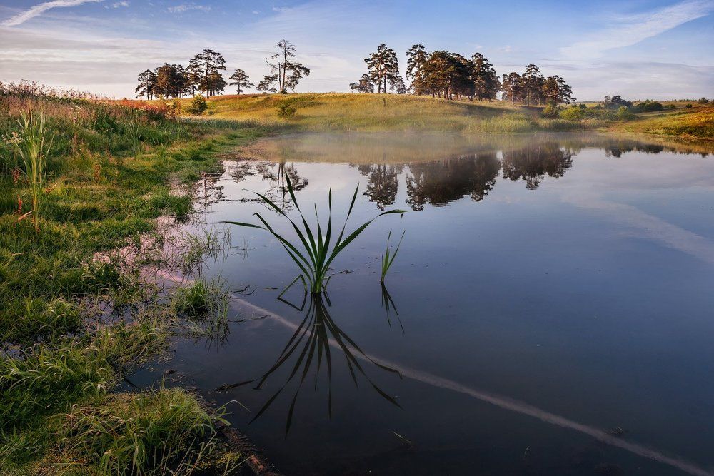 Деревенский пруд.