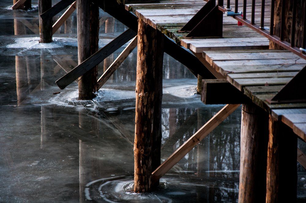 Photograph by Дина