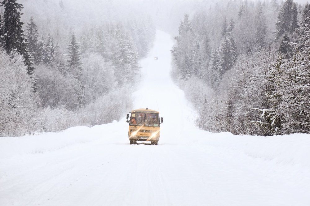 Волшебный школьный автобус