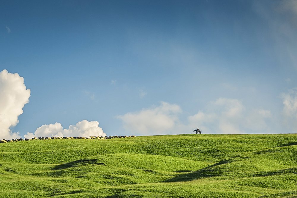 Одинокий пастух