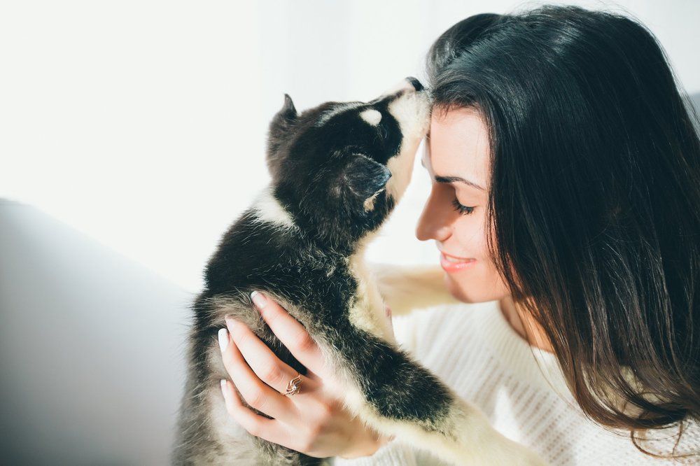 Photograph by Ксения