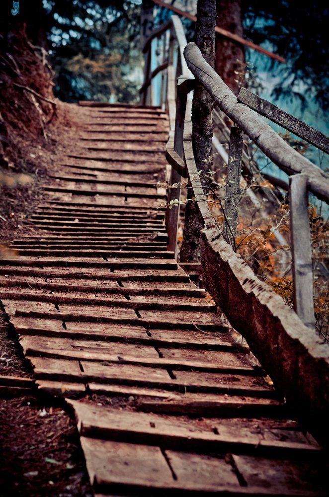 лестница в некуда