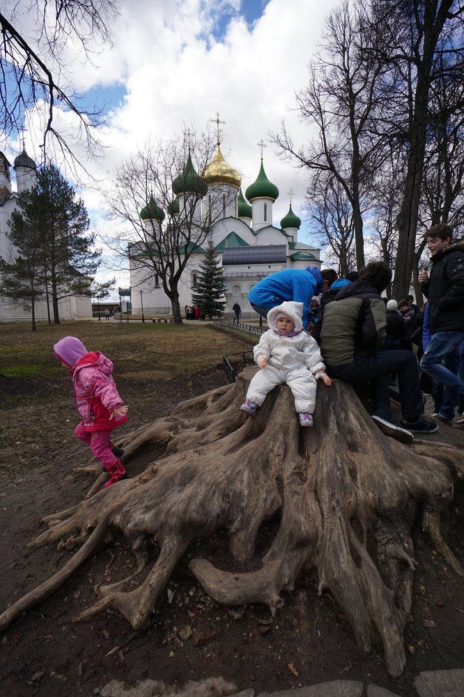 Фотография автора Коробейников Дмитрий