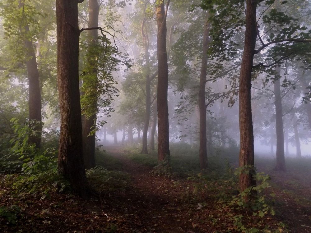 тайная сходка