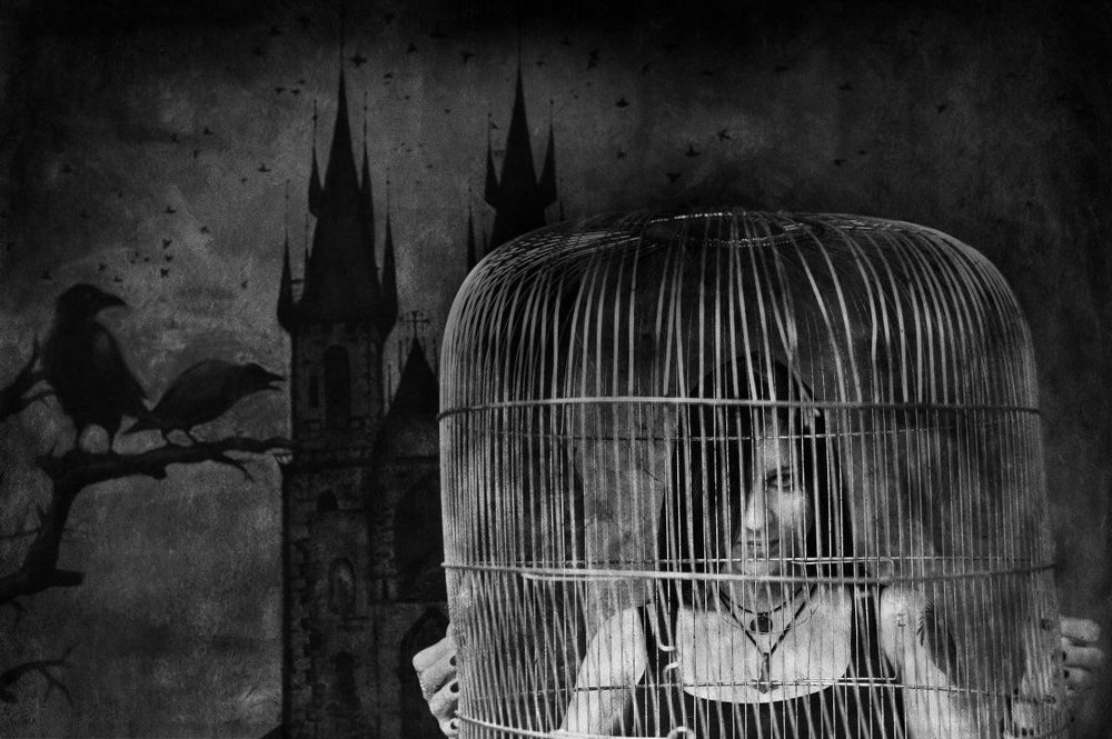 В плену искусства