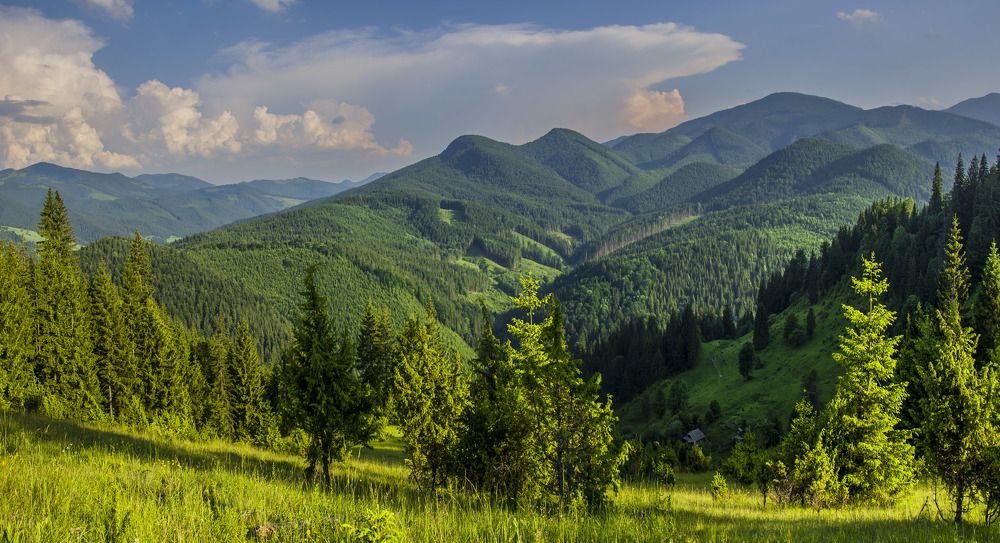 Плюшевые горы