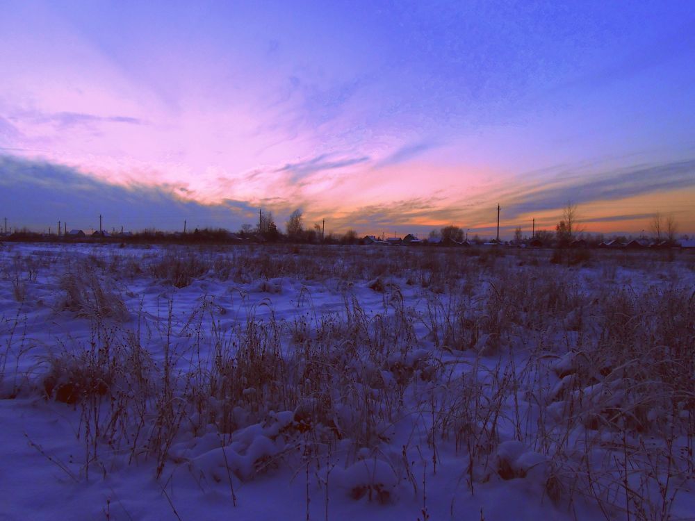 Photo #1189506