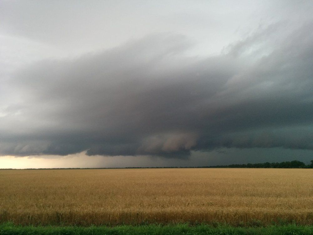 Photo #1189853