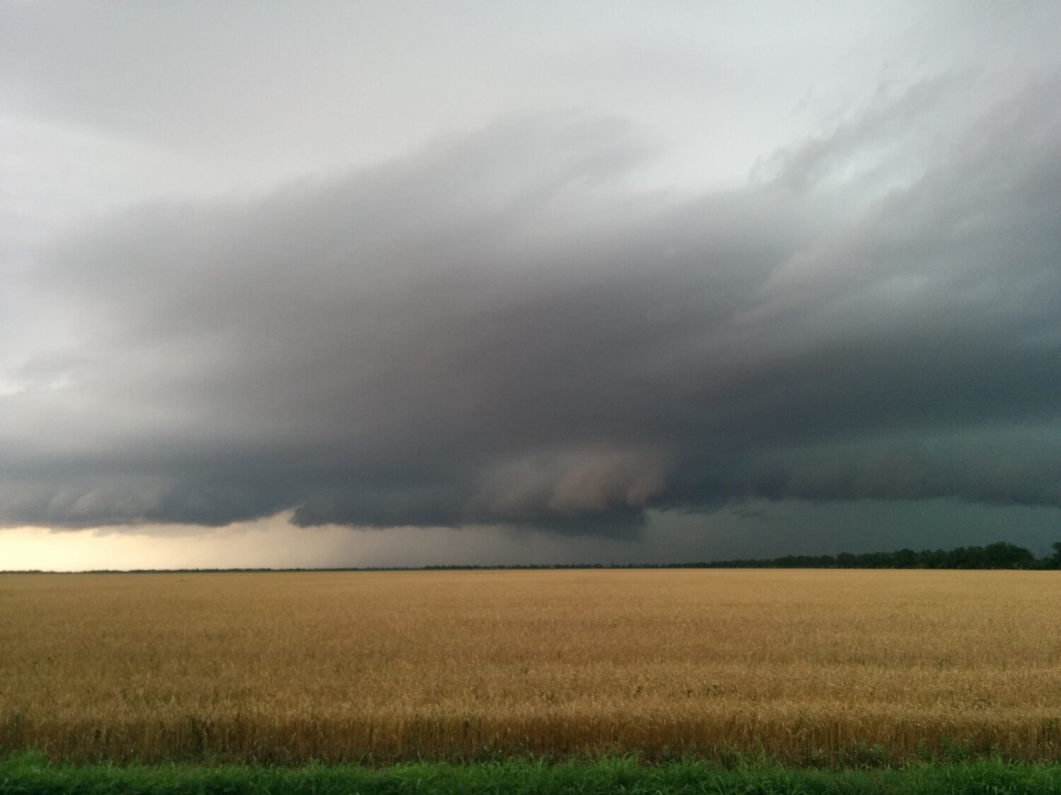 Photo #1189853