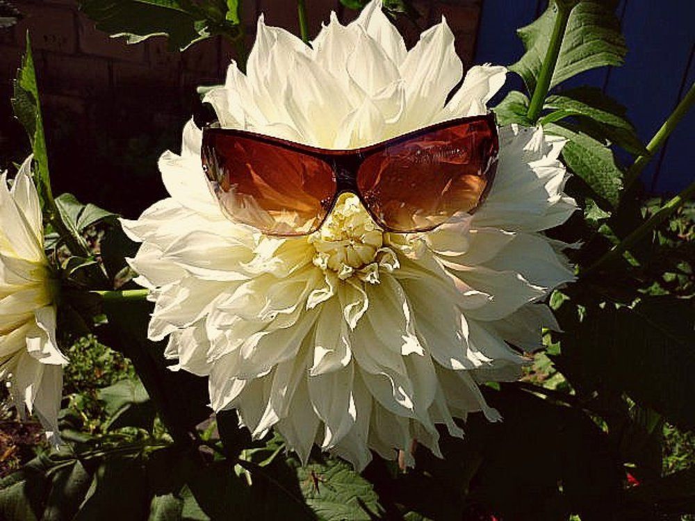 Под лучами сибирского солнышка