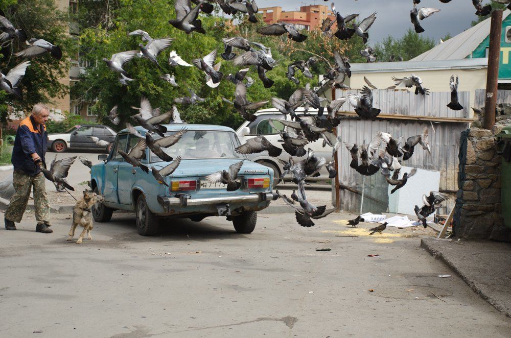 Прогулка с другом