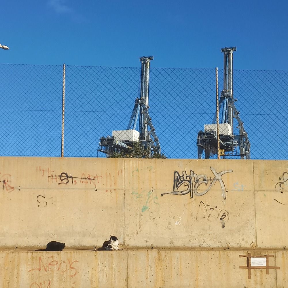 Photograph by Тарас Процай