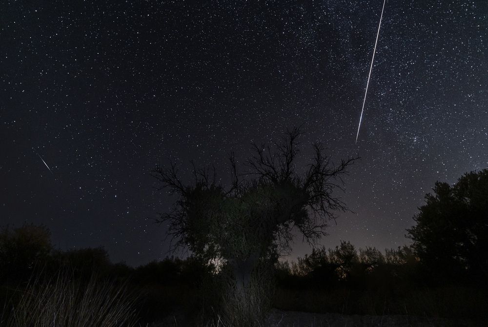 A Bright Meteor Illuminates the Night Sky