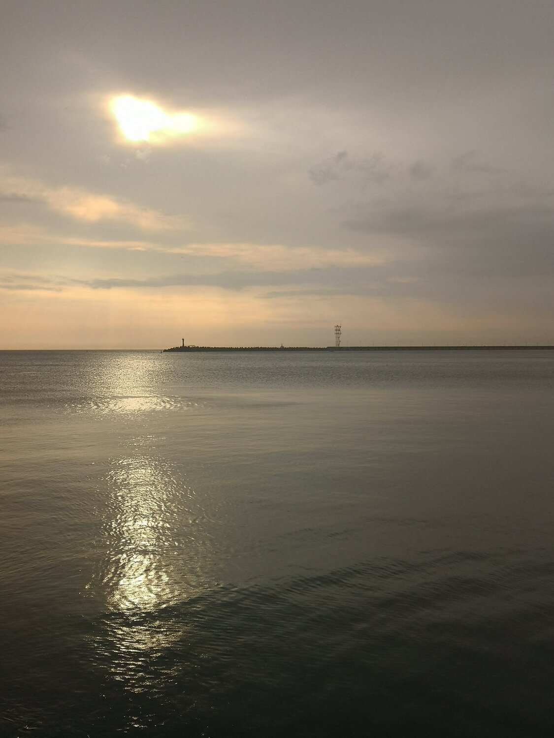 Photo #11850052