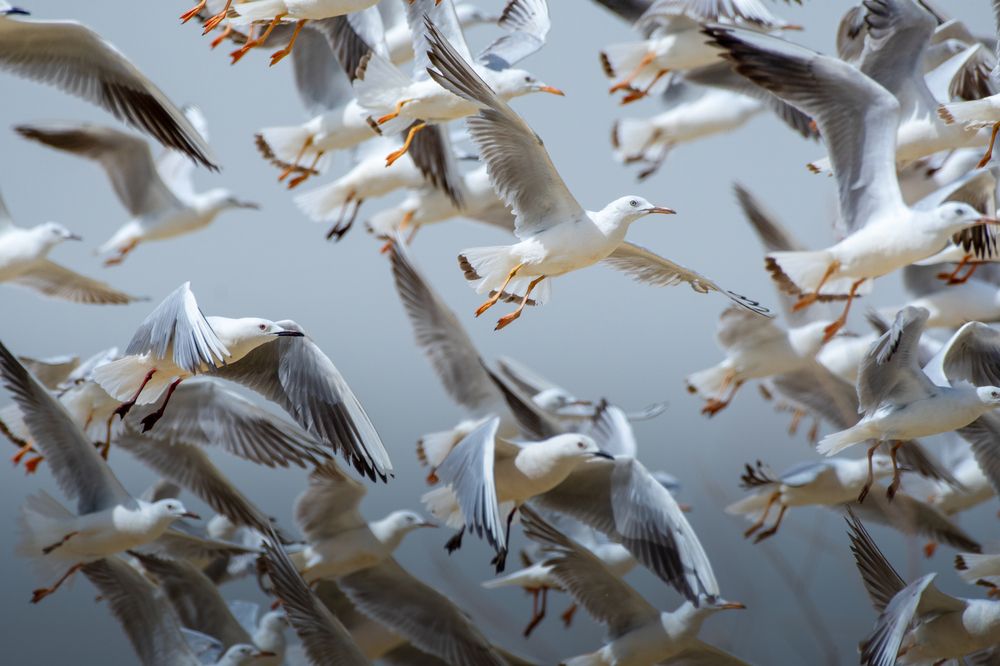 Фотография автора sherif Abdallah