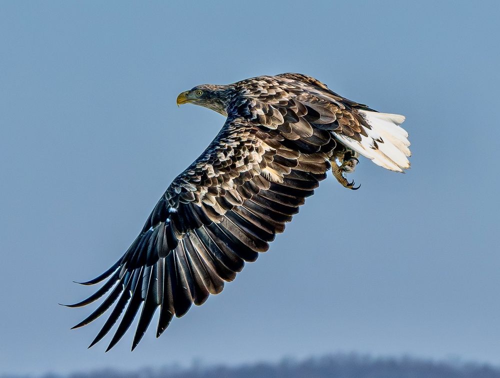 Photograph by Алексей Симонов