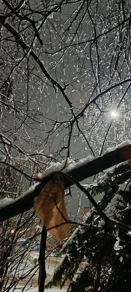 Фотография автора Жанна Афанасьева