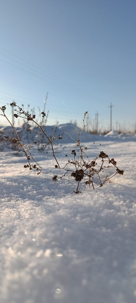 Photo #11850073