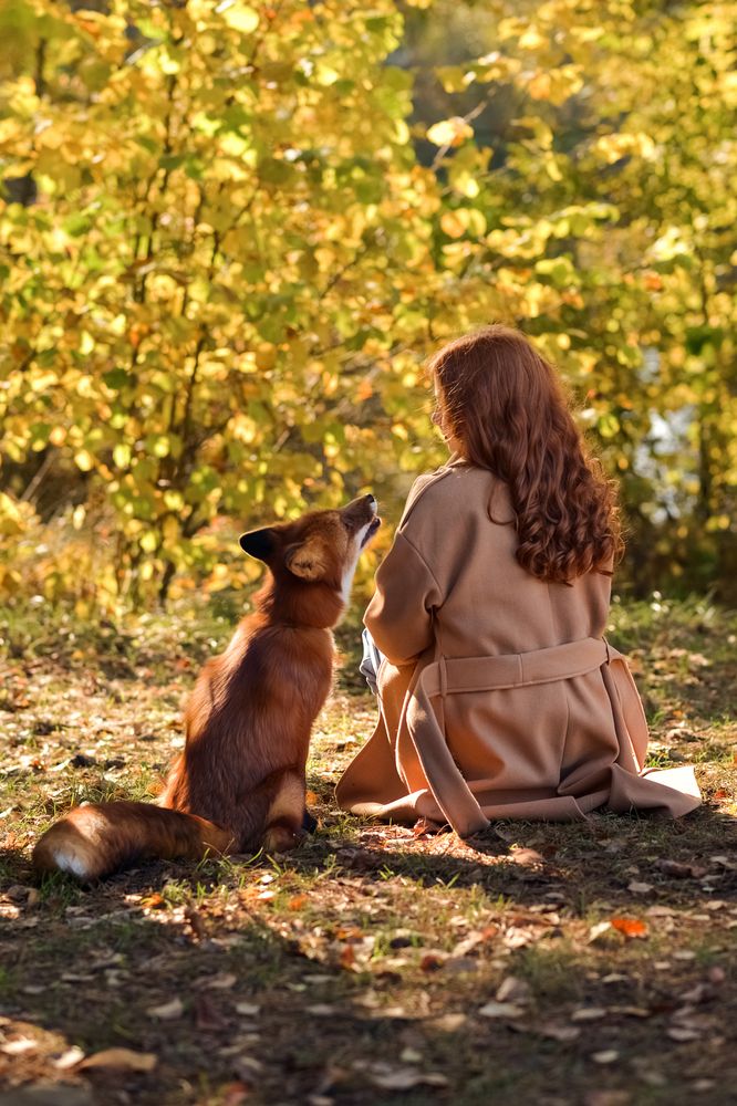 Девочка и лис