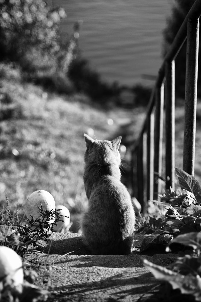Photograph by Студия НЭКСТ