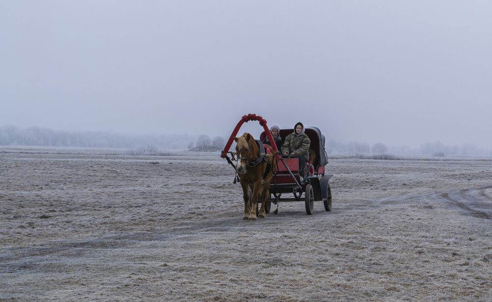 Photograph by Цветков Сергей