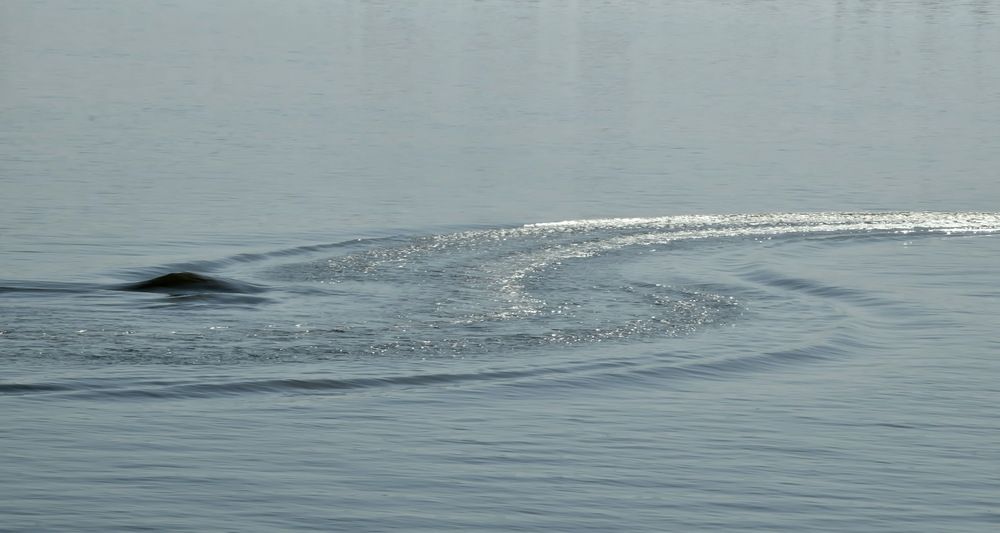 Photograph by НИНА АВЕРЬЯНОВА