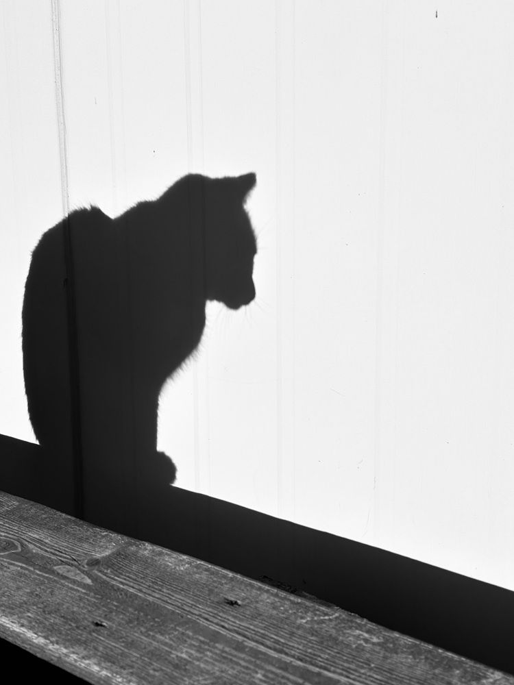 Фотография автора Nadezhda Poryvaeva